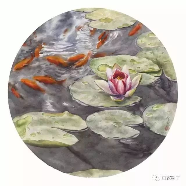 100种漂亮花卉图片,100张漂亮花图