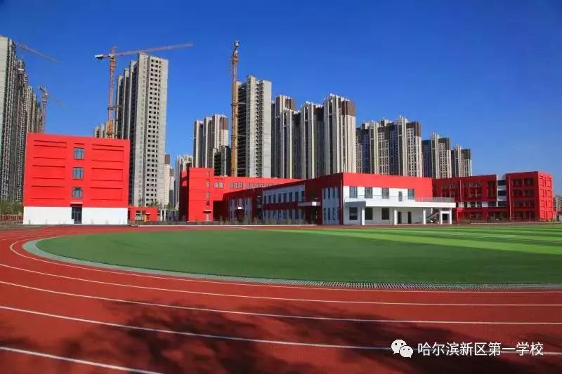 新区好学校,新区好的小学