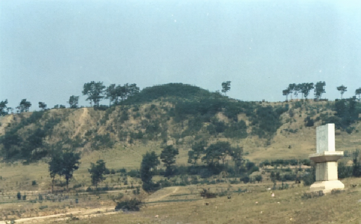 康王墓如何发现的,打开康王坟