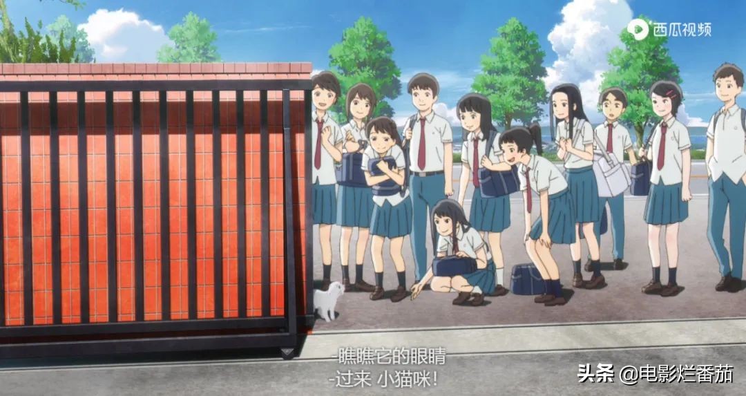 这部温情的撸猫片,让我哭得溃不成军,这是全世界猫*党**的胜利