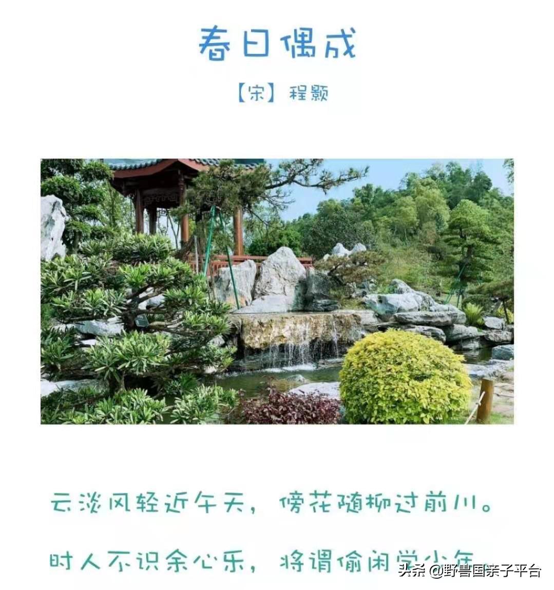 春天的花真的很美丽让人向往,春天的花也太美了