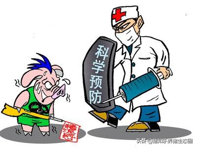 养猪行业的谎言类似“皇帝的新衣”