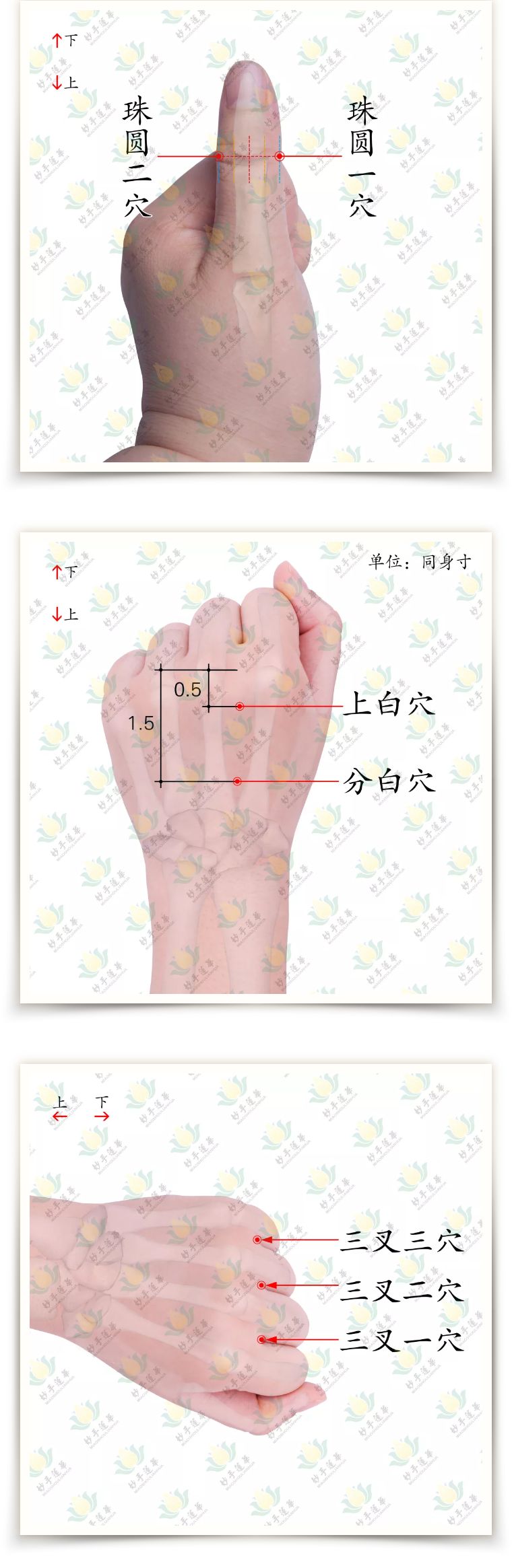 柳絮迷眼怎么办,柳絮弄得眼睛痒怎么办