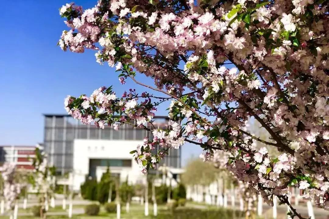 天津医科大学七所直属医院,天津医科大学独立学院是几本