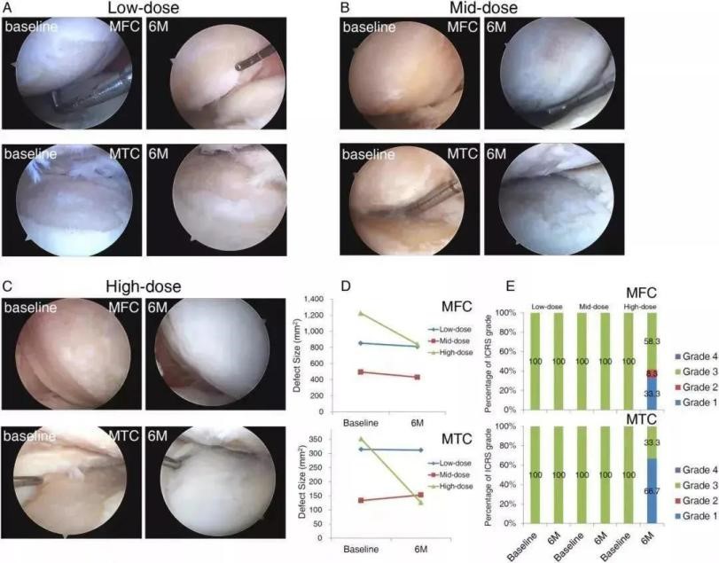 日本足协与再生法人机构签订再生医疗支援协议，修复球员运动损伤