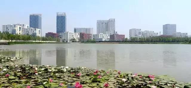 武清人要发达了，未来武清区会让你们惊叹不已！