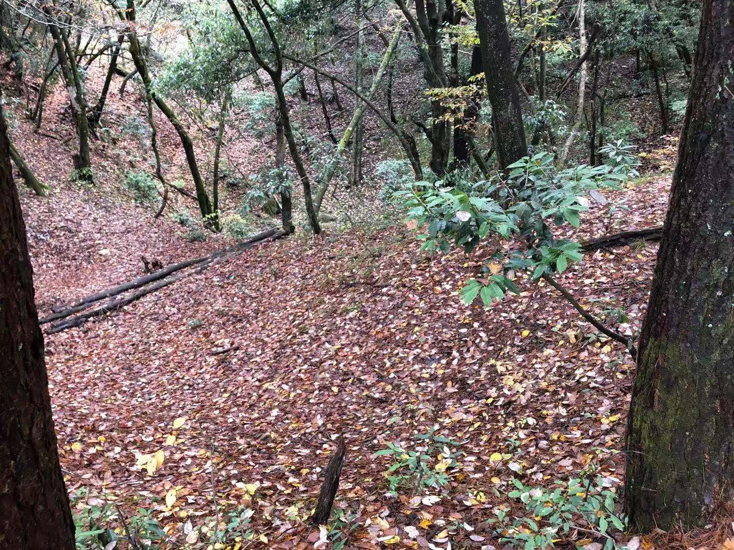 光雾山蜀门秦关,蜀门秦关到光雾山