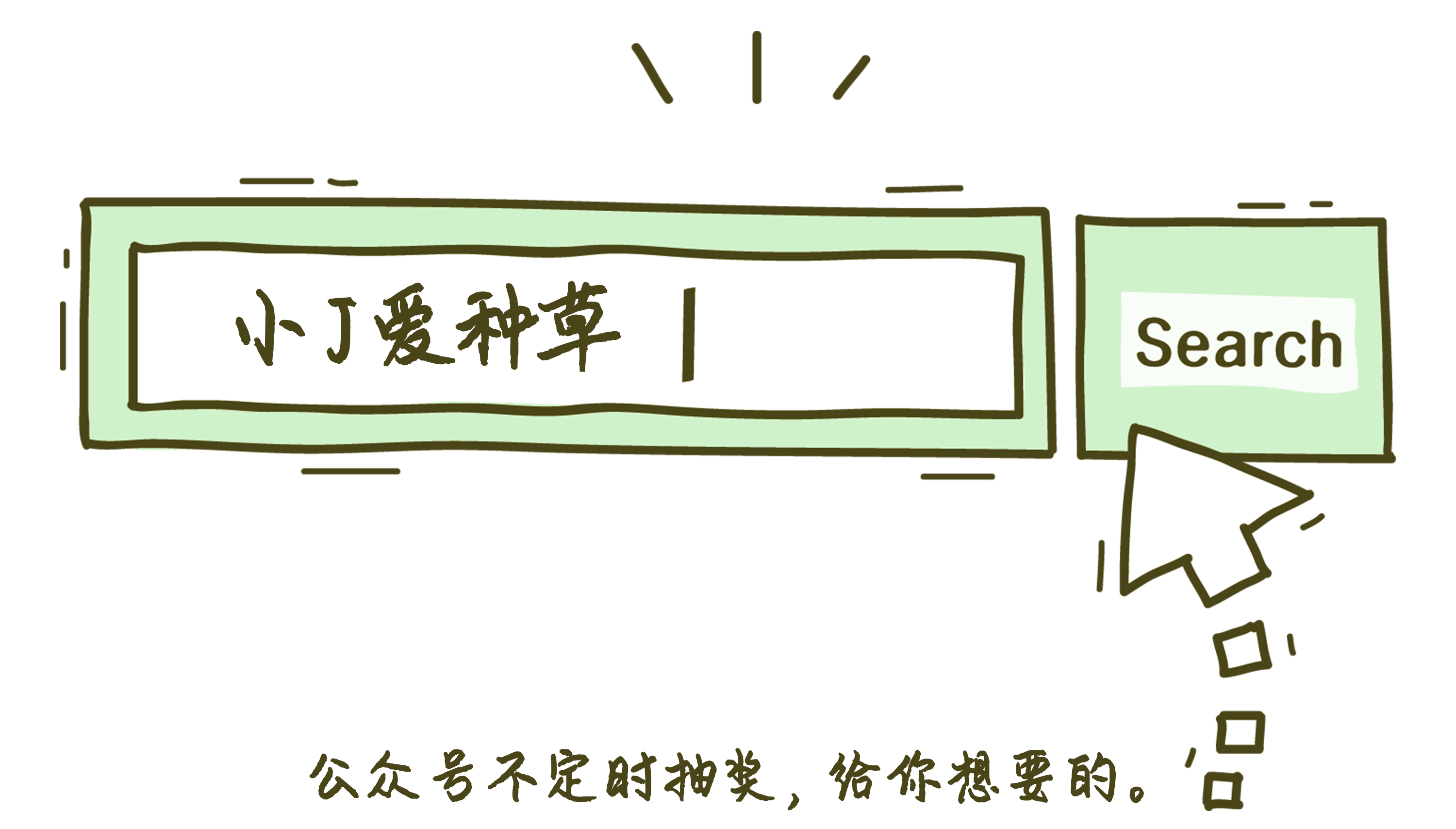 猪年限定款有哪些品牌,猪年限定哪款最值得购买