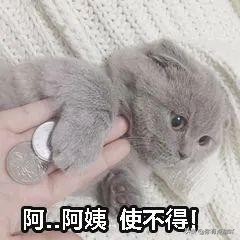 微信号能重新改了还能还回来吗,微信号有什么办法可以修改