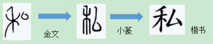 说文解字对文化的解读,说文解字私从何来