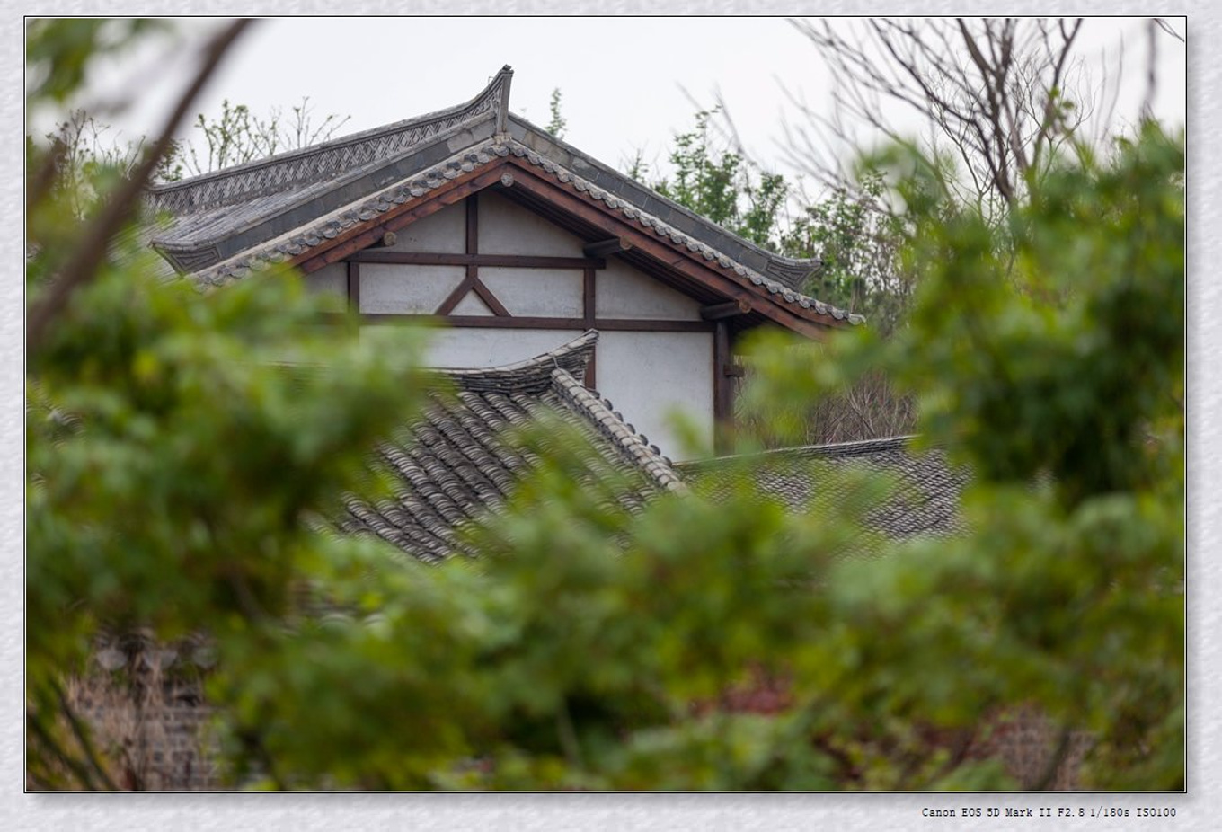常州旅游东方盐湖城,骆驼之旅视频