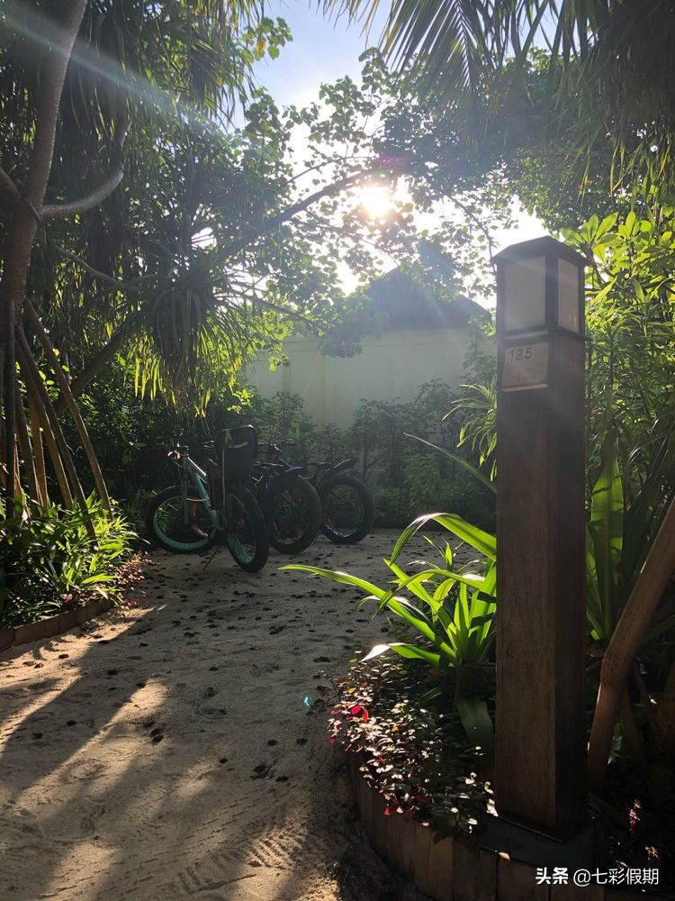 马尔代夫一家人旅行攻略,马尔代夫旅游一家四口跟团