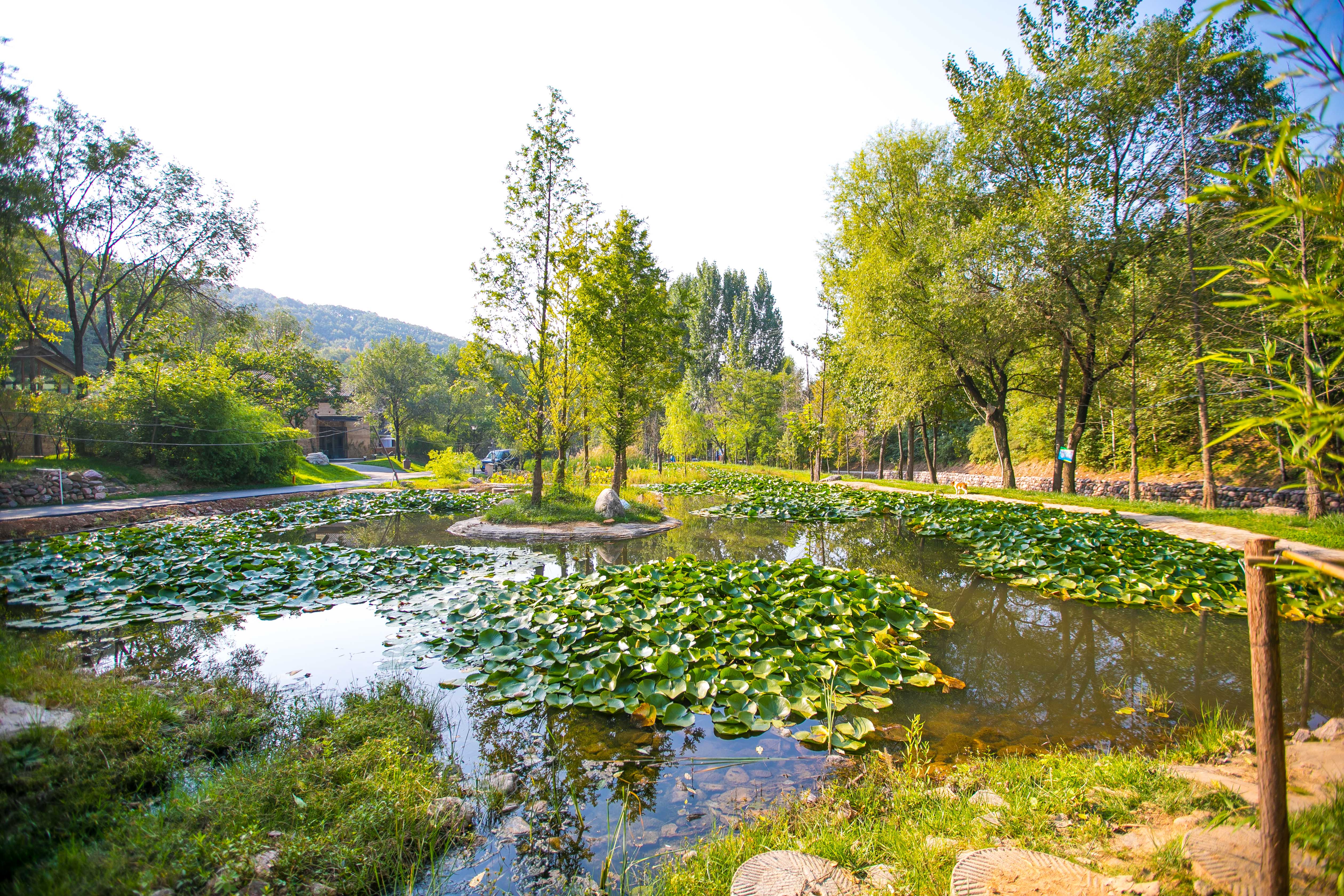 大山里面的现代风民宿,河南最值得住的山区民宿