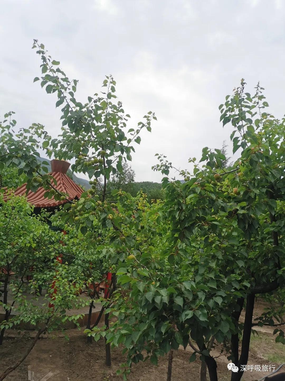 京西小九寨百瀑谷,京西双龙峡小火车图片