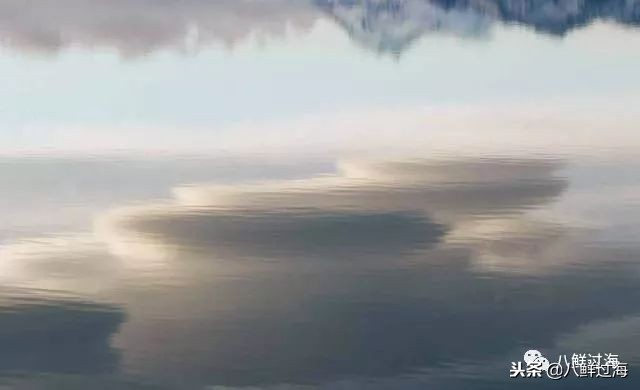 引入活青口贝、鲜帝王鲑,新西兰海产出口商的新生力量!