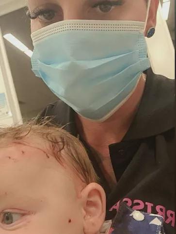 澳大利亚鼠灾事件视频,澳大利亚鼠害事件