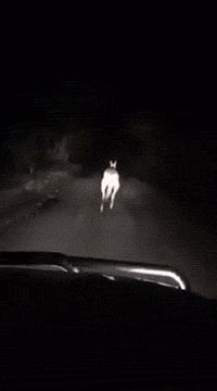 搞笑gif妹子的内心是崩溃的,搞笑gif妹子原来是个逗比