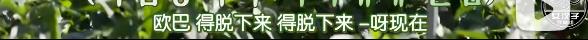 柳演锡申贤彬为什么叫wintergarden,罗英锡曺圭贤