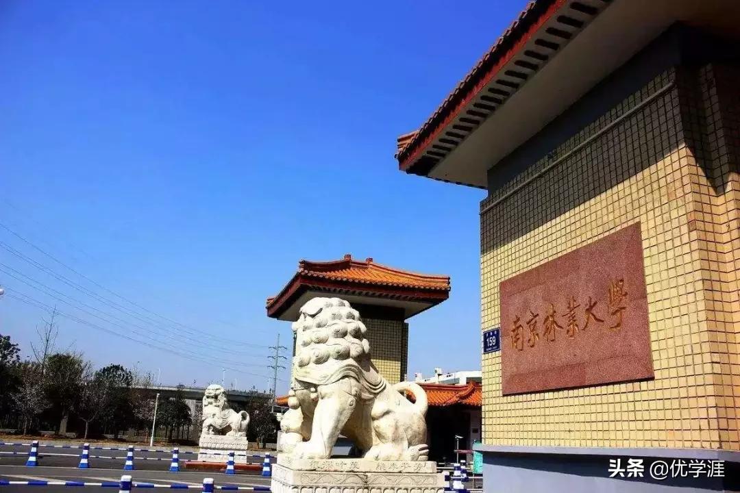 综合类985院校的王牌专业最全总结,985大学的哪些专业冷门但就业好