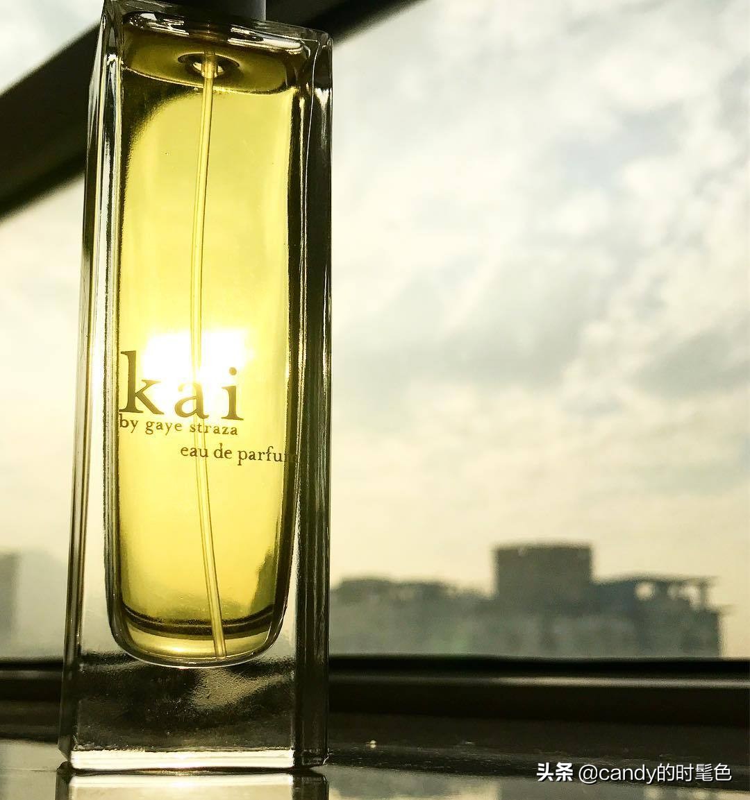 初夏|请你带上“栀子花”入梦