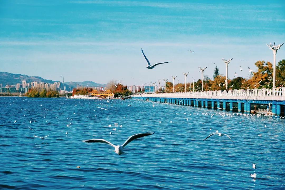 云南又一条冷门小众路线,滇东南世外桃源路线图