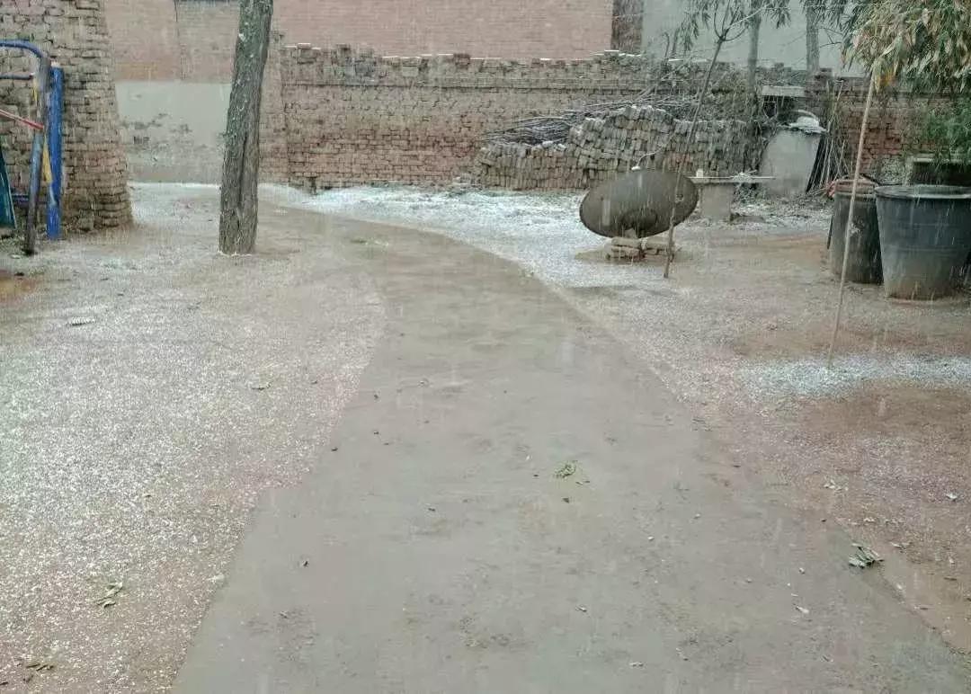 邯郸雪下哪里了,雪如约而至周末天气怎么样