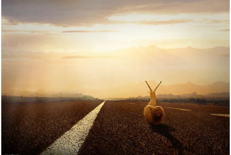 张爱玲写作技巧大全,张爱玲论写作