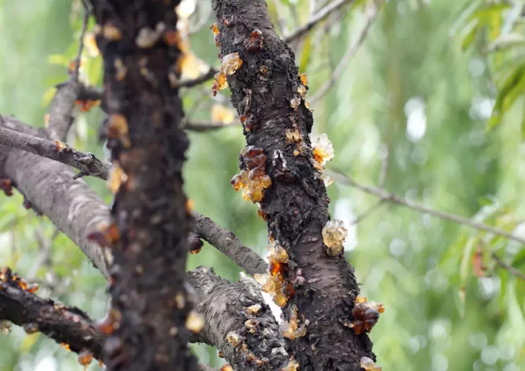 为了变美要交智商税吗,没想到交了智商税