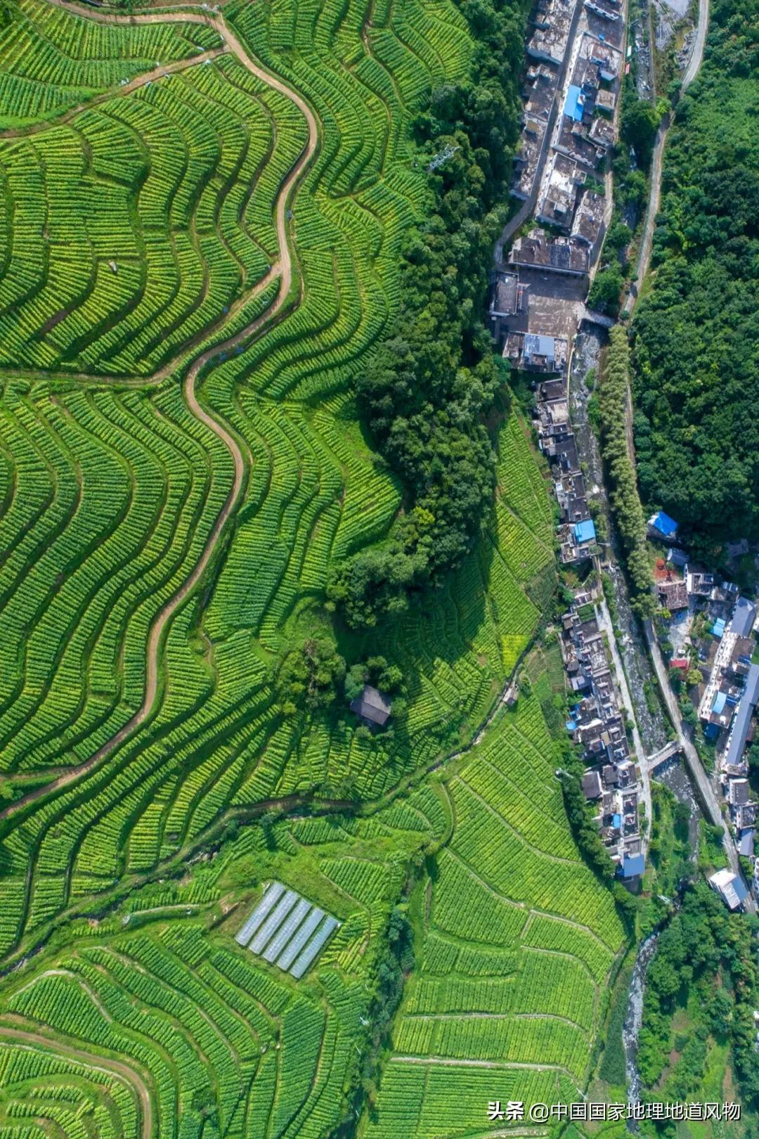 陕西水果第一大省有什么水果,陕西盛产水果吗
