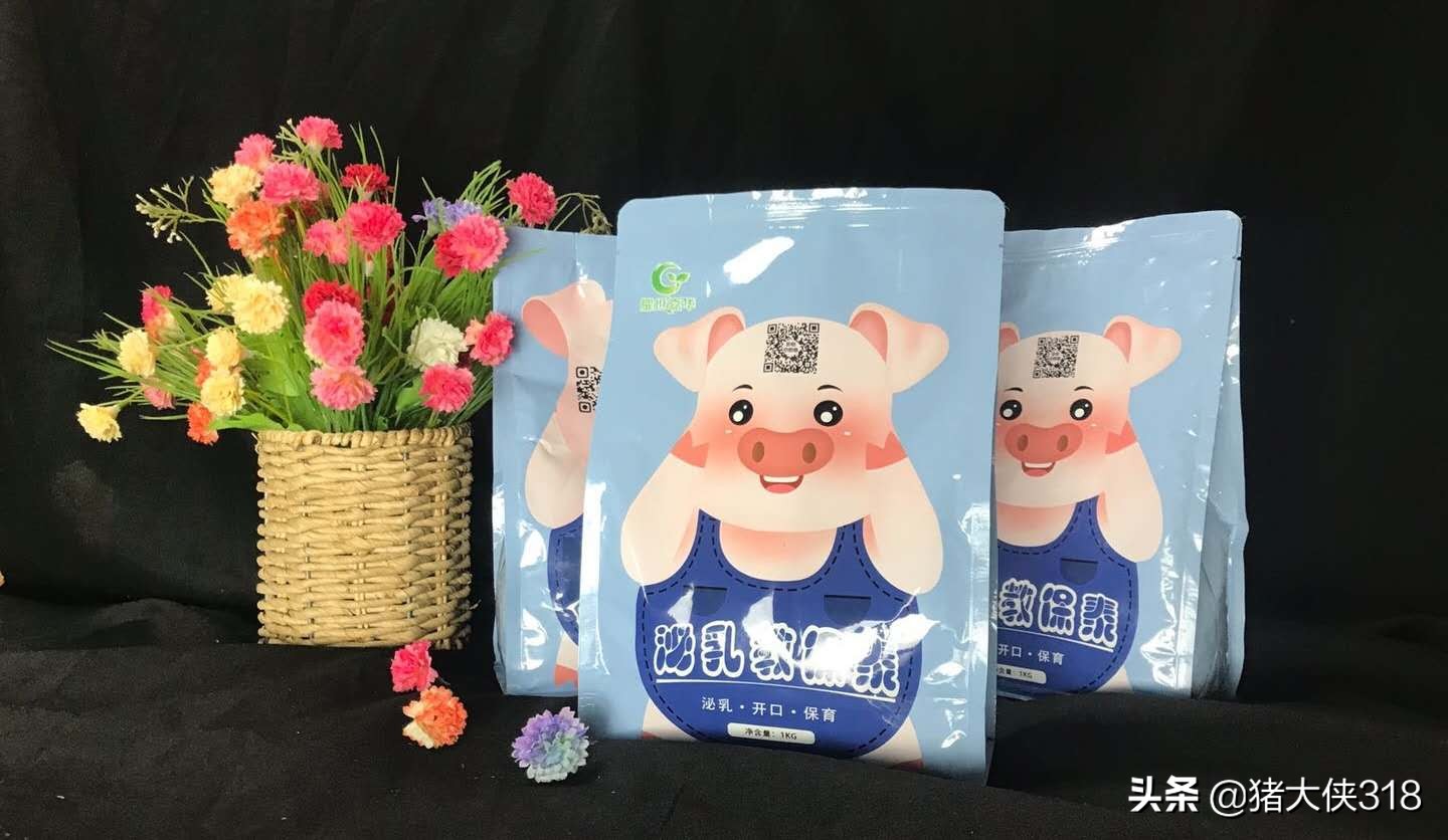 治疗母猪产后无乳的民间偏方，省钱省力有奇效