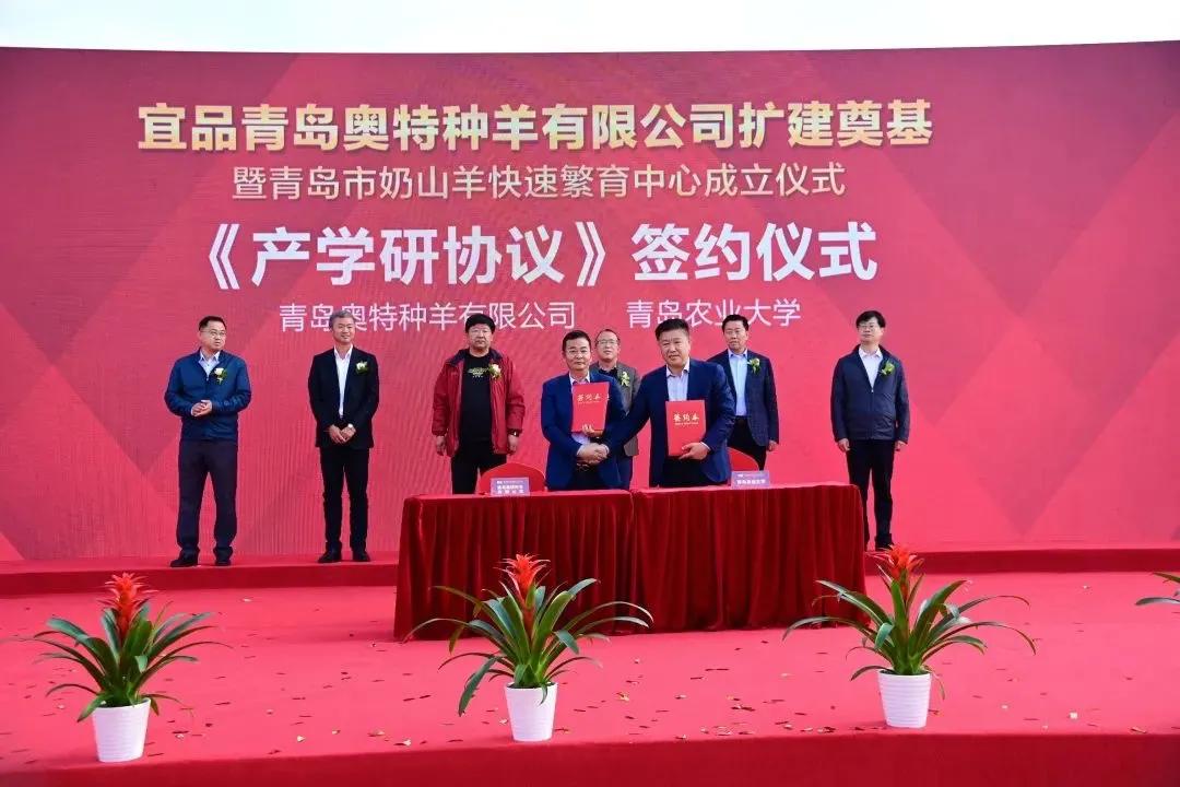 乳业数据,乳业行情最新