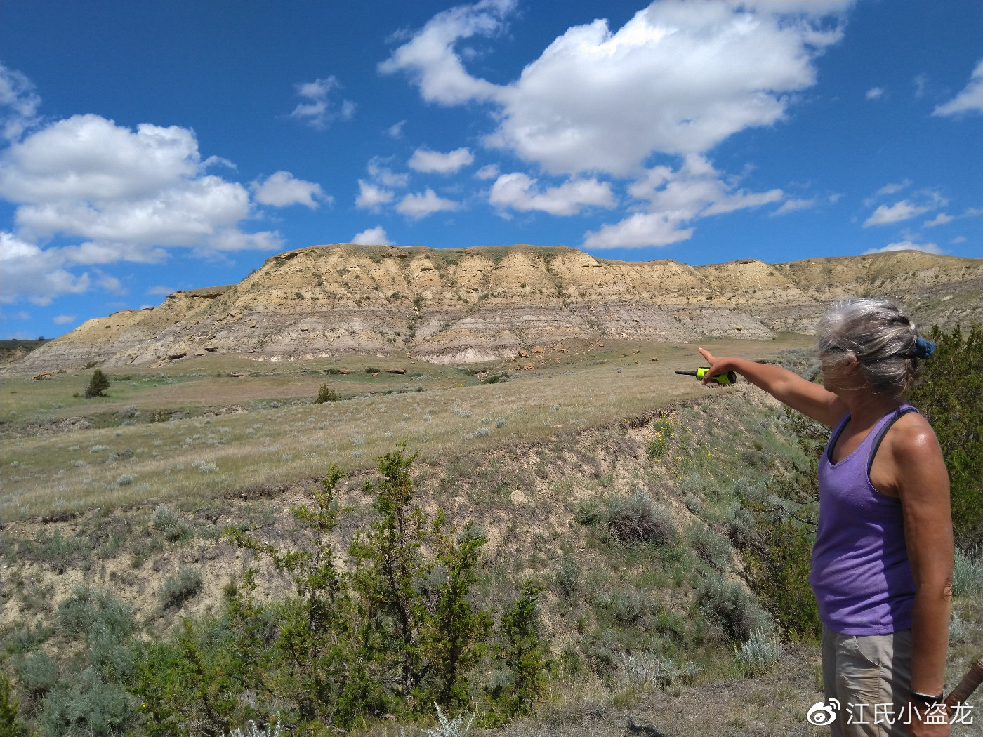 长得跟其他恐龙不一样的恐龙,恐龙化石奇怪的动物