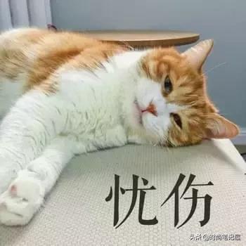 入秋最显白的发色,初秋这些颜色穿一起显白又高级