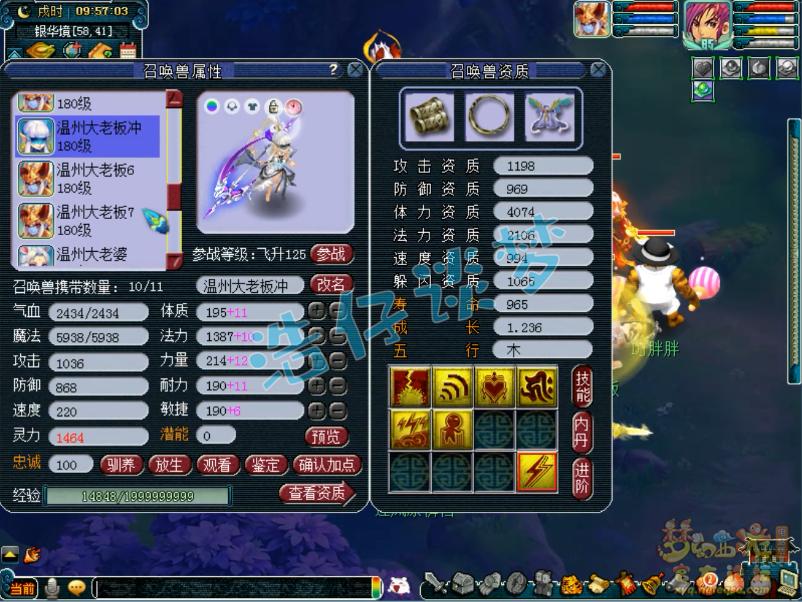 梦幻西游渔岛服战阵容,梦幻西游渔岛服战最强阵容