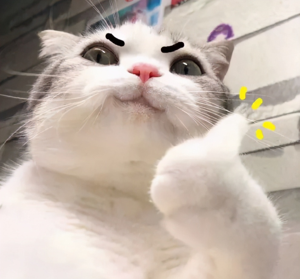 来广州才有的奶茶,来广州的人多吗