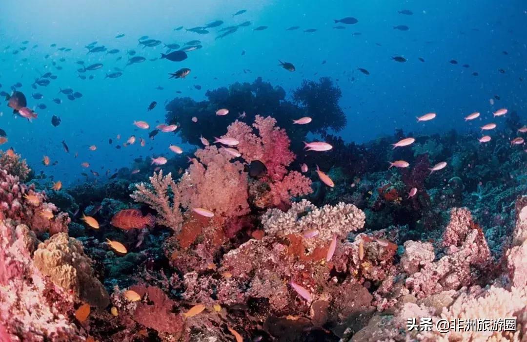 适合夏天去的免签海岛,4个免签的绝美海岛