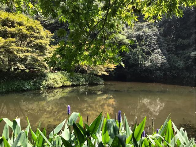 九溪避暑好去处,九宫山避暑胜地亲子游