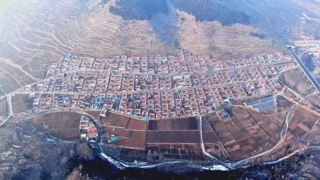 把肺炎拍成电影，我们拿到了一位导演的创作脚本