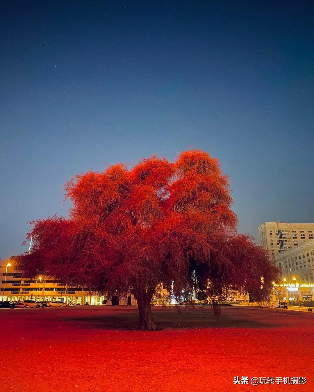 改善iphone的拍照软件,iphone12夜间拍摄