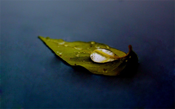 遇见这一场秋霜（外三篇）