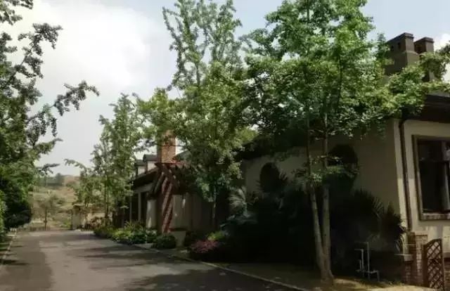 重庆10大贵族学校曝光,重庆土豪学校