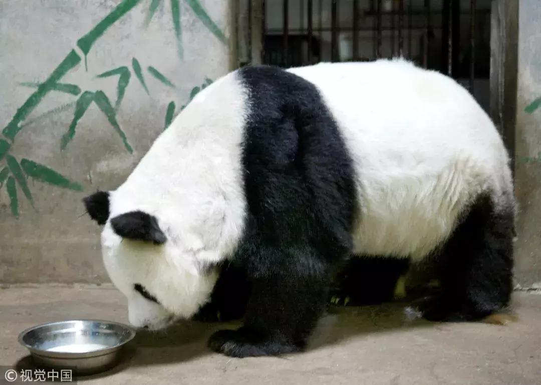 过年保健品,过年送什么保健品