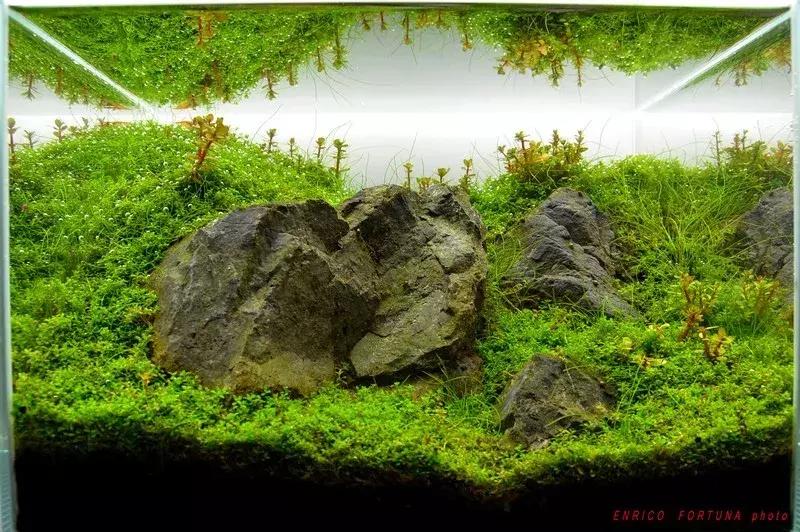 如何打造景观小缸,院子简易水景流水缸制作方法图片