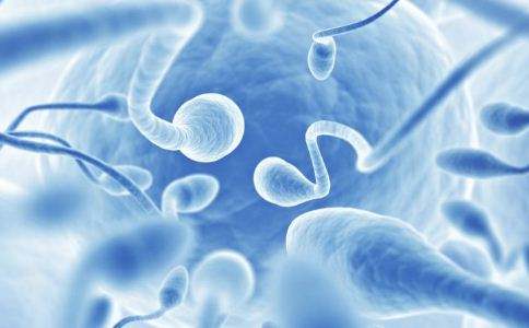 怀孕到底都检查什么,怀孕这个事容易么