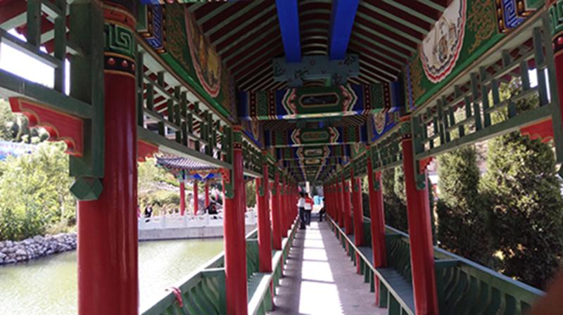 登顶金鸡山,心愿爬山