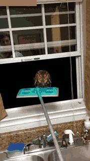 开心图文高清图片,开心图文原创