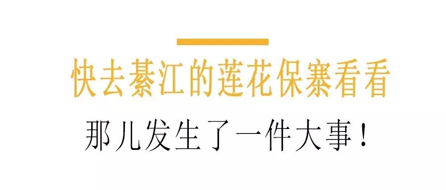 快去綦江的莲花保寨看看，那儿发生了一件事儿