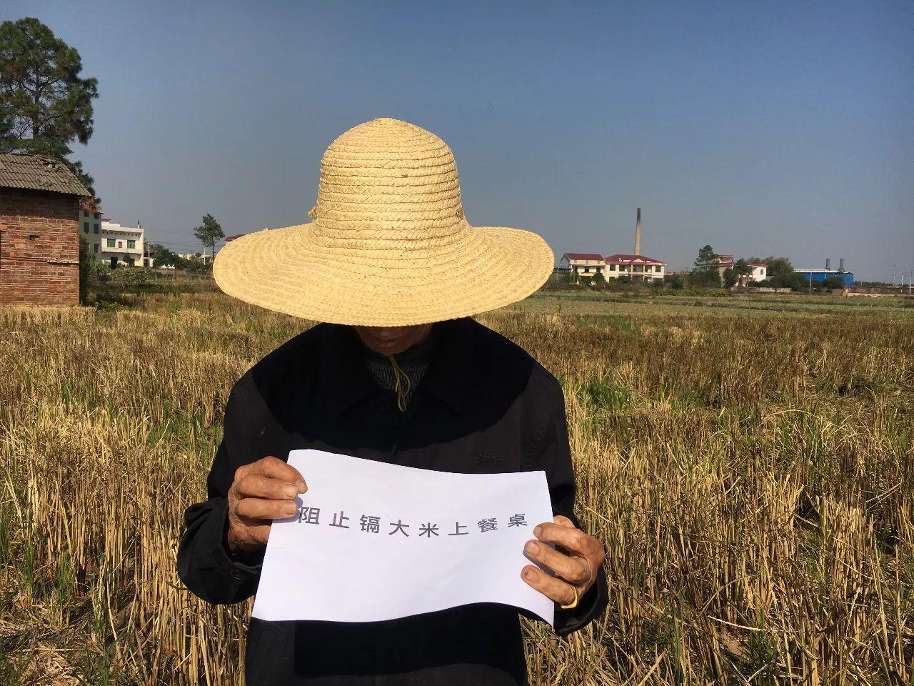 舌尖上的安全感悟,舌尖上的安全全册