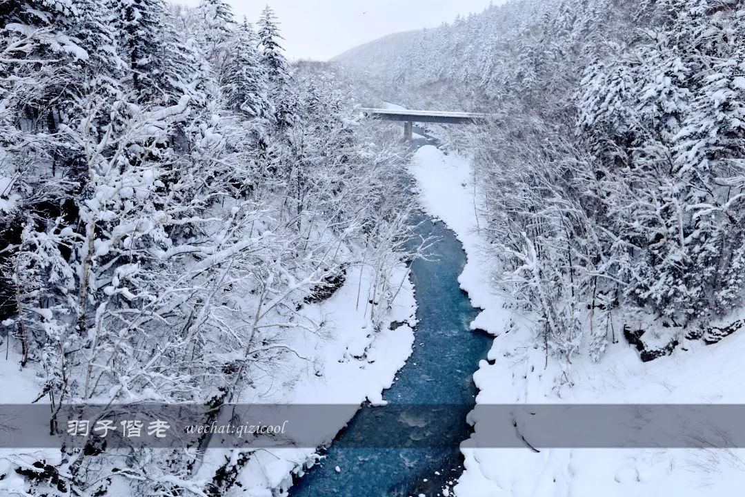 老实说，这一趟北海道就是为了拍好看的照片去的