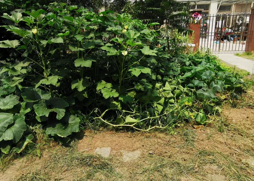 阜阳4大被物业拉胯的小区!房价只跌不涨,物业屡被吐槽